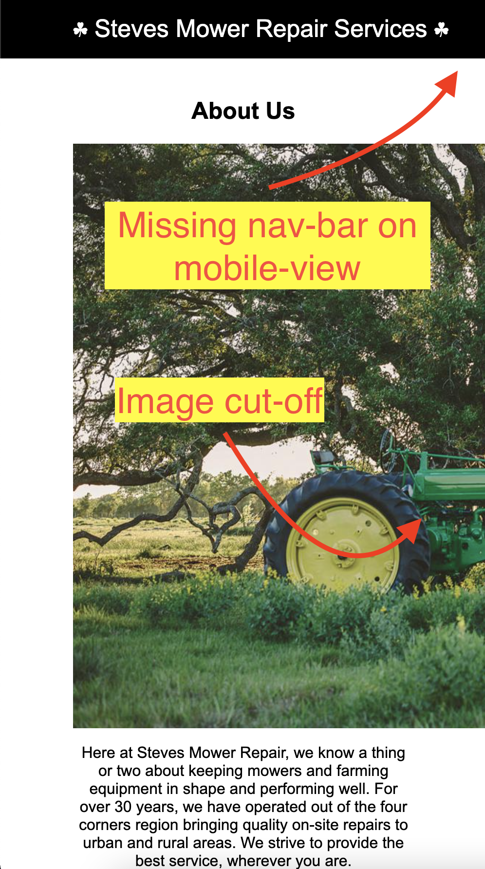Image showing original site issues